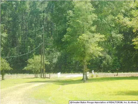 33718 Weiss Rd, Walker, LA 70785 photo 22