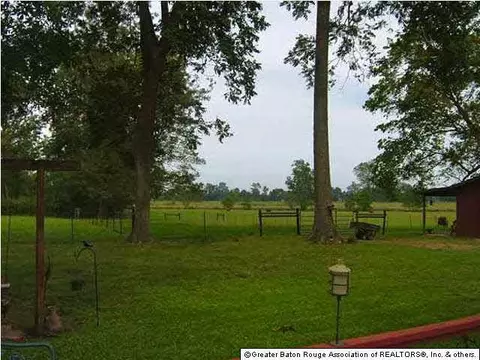 12141 Trails End, Jarreau, LA 70749 photo 5