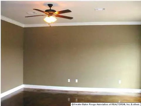13553 Lily Ave, Walker, LA 70785 photo 7