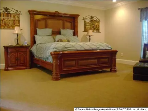 31440 N Corbin Rd, Walker, LA 70785 photo 13