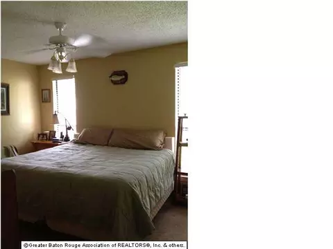 13370 Molly Melissa Dr, Walker, LA 70785 photo 9