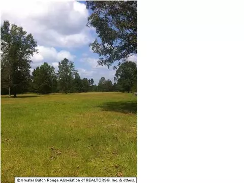 14230 Baptiste Dr, Walker, LA 70785 photo 2
