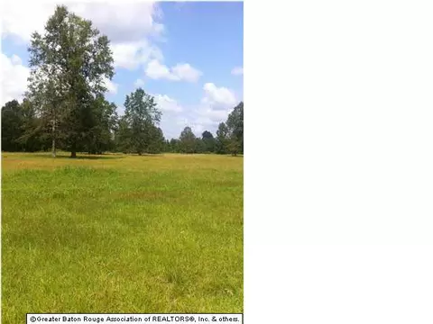 14230 Baptiste Dr, Walker, LA 70785 photo 1