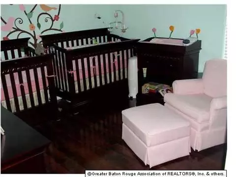 31130 River Pines Dr, Springfield, LA 70462 photo 13