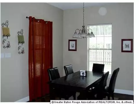 31130 River Pines Dr, Springfield, LA 70462 photo 10
