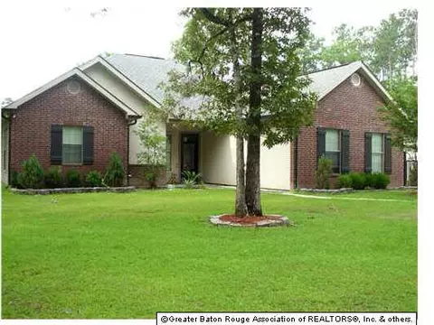 31130 River Pines Dr, Springfield, LA 70462 photo 1