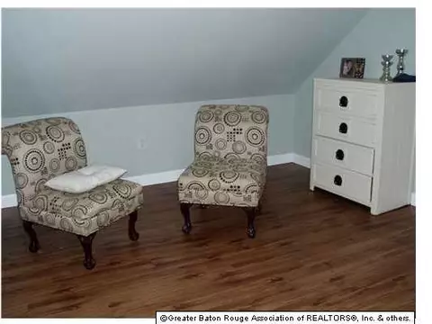 31130 River Pines Dr, Springfield, LA 70462 photo 7