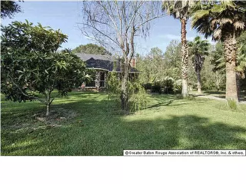13290 Savannah, Walker, LA 70785 photo 18