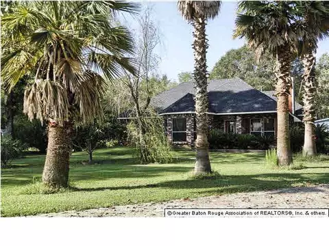 13290 Savannah, Walker, LA 70785 photo 1
