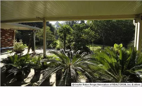 13290 Savannah, Walker, LA 70785 photo 3