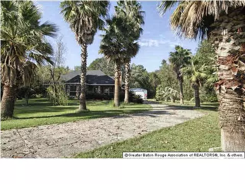 13290 Savannah, Walker, LA 70785 photo 2