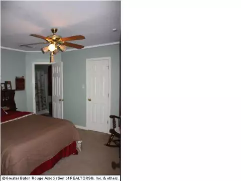 29110 Peggy Dr, Walker, LA 70785 photo 4