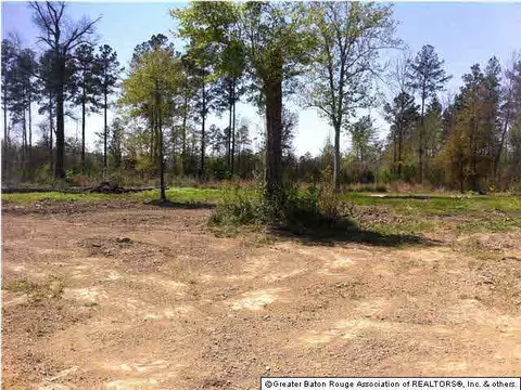 33103 Galloway North Rd, Walker, LA 70785 photo 10