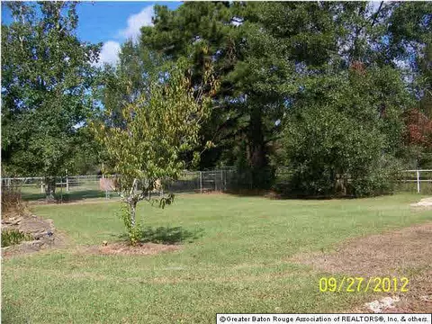 33679 Duff Rd, Walker, LA 70785 photo 17