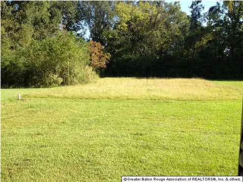 13620 Ball Park Rd, Walker, LA 70785 photo 8