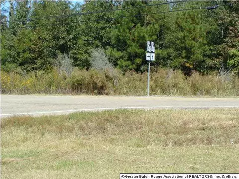 36841 Weiss Rd, Walker, LA 70785 photo 3