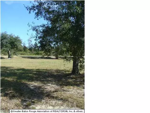 36841 Weiss Rd, Walker, LA 70785 photo 6