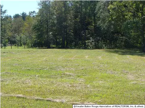 36841 Weiss Rd, Walker, LA 70785 photo 1