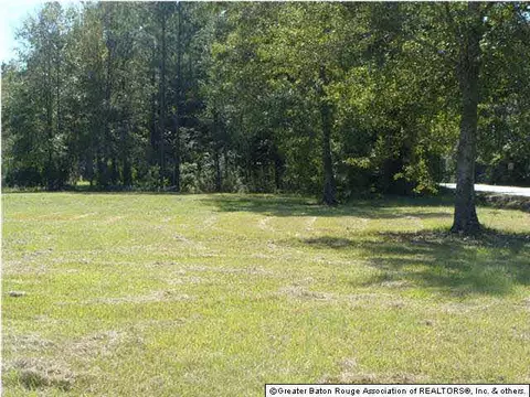 36841 Weiss Rd, Walker, LA 70785 photo 2