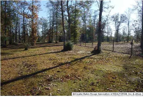 843 Williams Rd, Amite, LA 70422 photo 14