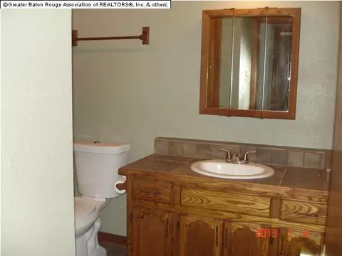 14131 Meadow Brook Ln, Walker, LA 70785 photo 9