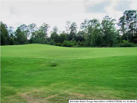 23799 Monarch Pt, Springfield, LA 70462 photo 4