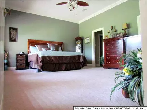 23799 Monarch Pt, Springfield, LA 70462 photo 3