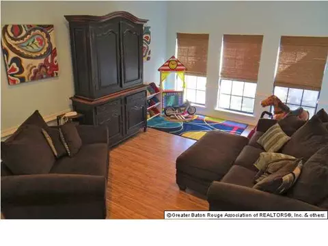 31736 River Pines Dr, Springfield, LA 70462 photo 14