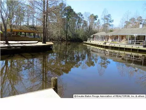 31736 River Pines Dr, Springfield, LA 70462 photo 7