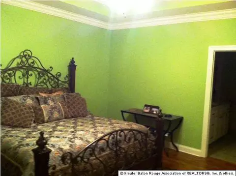 34183 Spring Lake Dr, Walker, LA 70785 photo 9