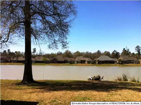34183 Spring Lake Dr, Walker, LA 70785 photo 16