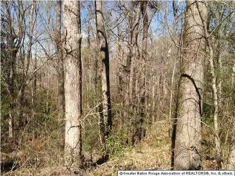 5474 Mullins Rd, Gloster, MS 39638 photo 4