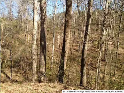 5474 Mullins Rd, Gloster, MS 39638 photo 10