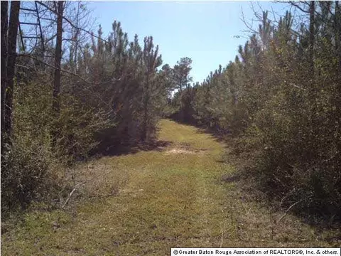 5474 Mullins Rd, Gloster, MS 39638 photo 13