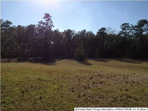 5474 Mullins Rd, Gloster, MS 39638 photo 7