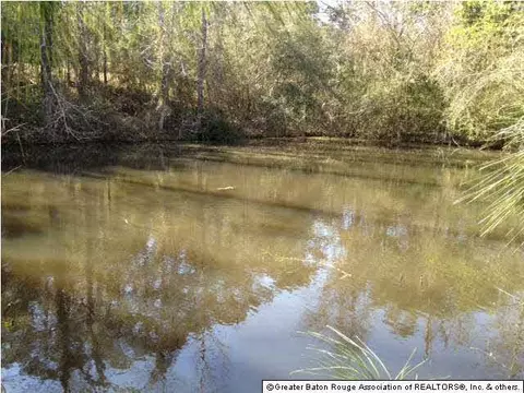5474 Mullins Rd, Gloster, MS 39638 photo 16
