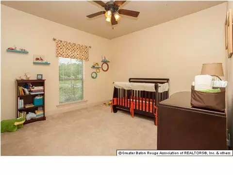 11230 Peaks Ave, Walker, LA 70785 photo 15