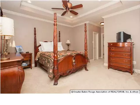 11230 Peaks Ave, Walker, LA 70785 photo 13