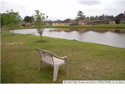 13612 Hopehaven, Walker, LA 70785 photo 19