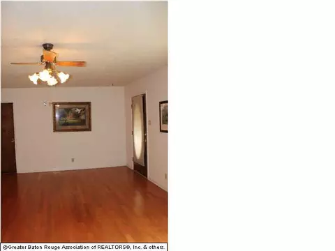32815 Percy Young Rd, Walker, LA 70785 photo 5