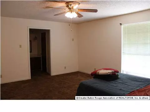 32815 Percy Young Rd, Walker, LA 70785 photo 16