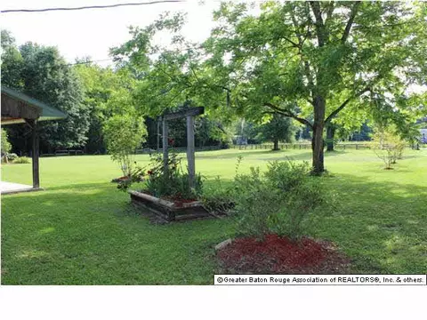 32815 Percy Young Rd, Walker, LA 70785 photo 4