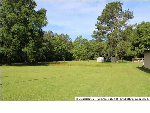 32815 Percy Young Rd, Walker, LA 70785 photo 25