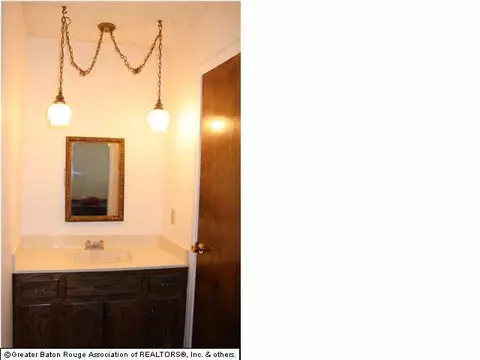 32815 Percy Young Rd, Walker, LA 70785 photo 17