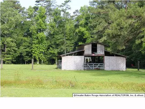 32815 Percy Young Rd, Walker, LA 70785 photo 22