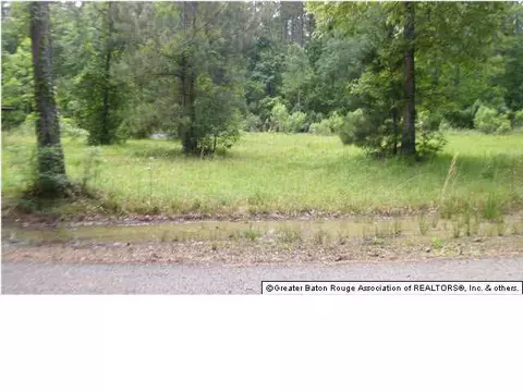 31068 Dendinger Ln, Springfield, LA 70462 photo 1