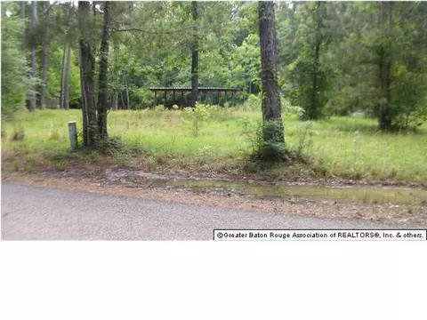 31068 Dendinger Ln, Springfield, LA 70462 photo 2