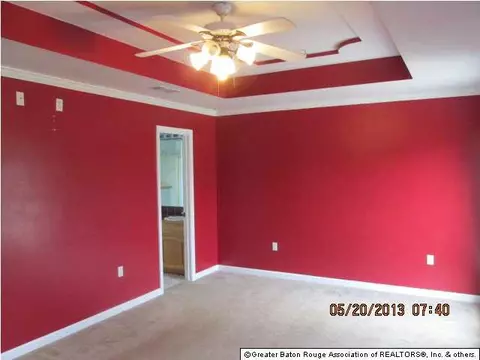 13329 David Lee Dr, Walker, LA 70785 photo 9