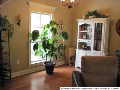 12749 Ruby Lake Dr, Walker, LA 70785 photo 14