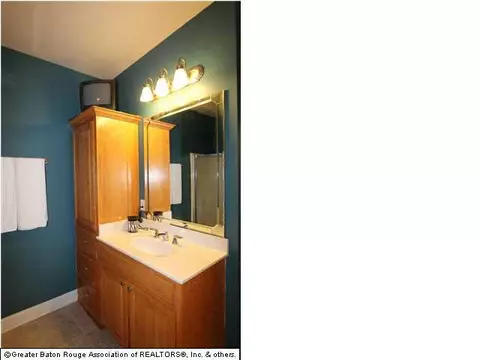 12429 Timberwood Dr, Walker, LA 70785 photo 12